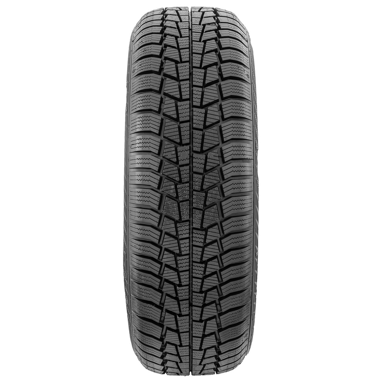 GISLAVED EURO*FROST 6 205/55R16 91H