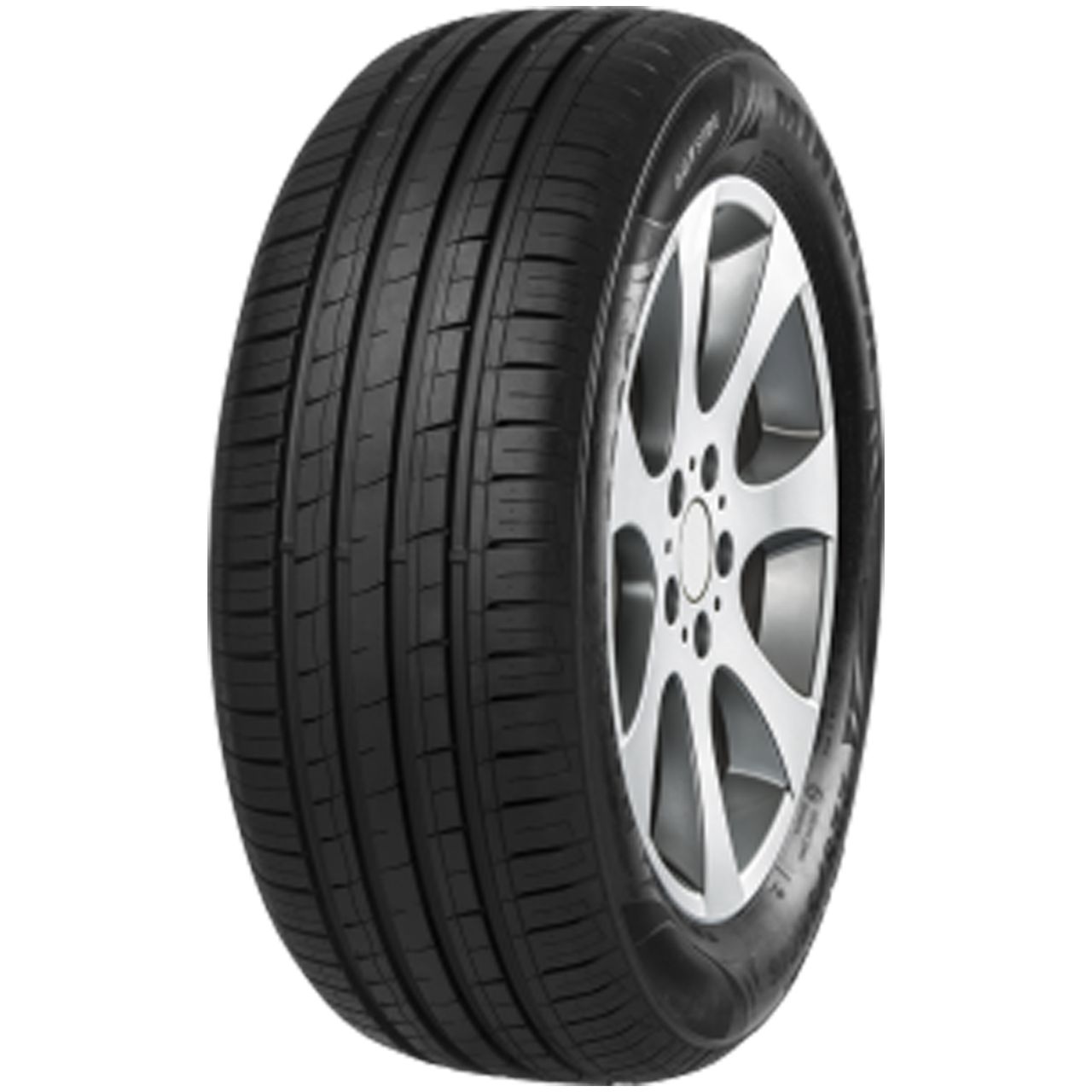 MINERVA F209 205/55R16 91W