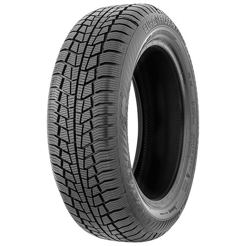 GISLAVED EURO*FROST 6 205/55R16 91T