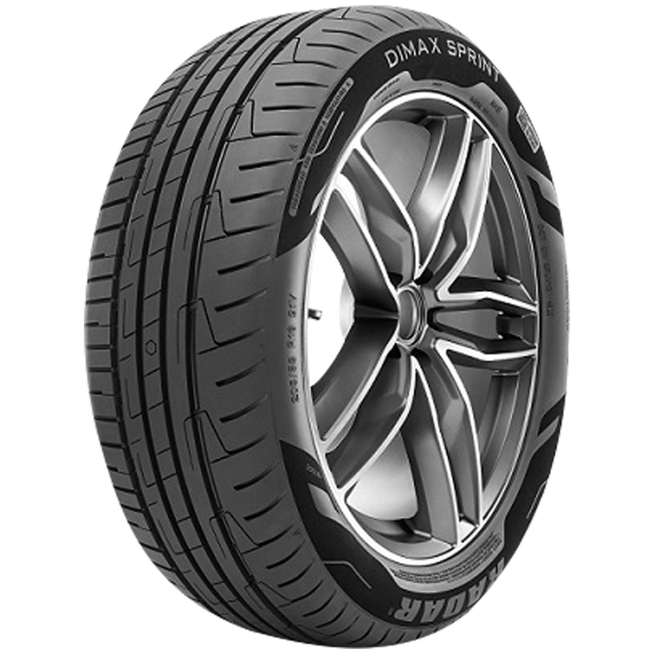 RADAR RPX800 205/55R16 91V