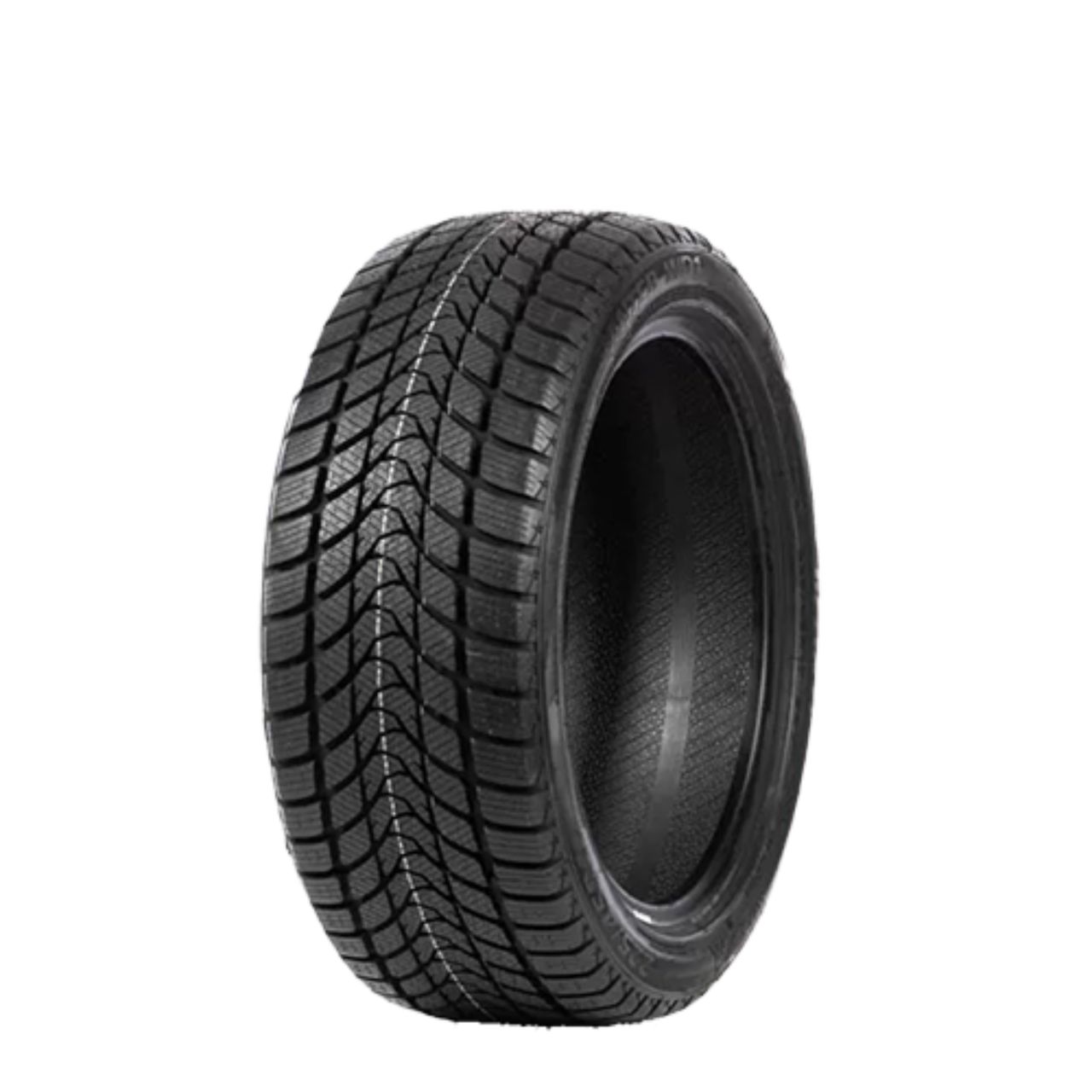 DELINTE WINTER WD1 205/55R16 91H BSW