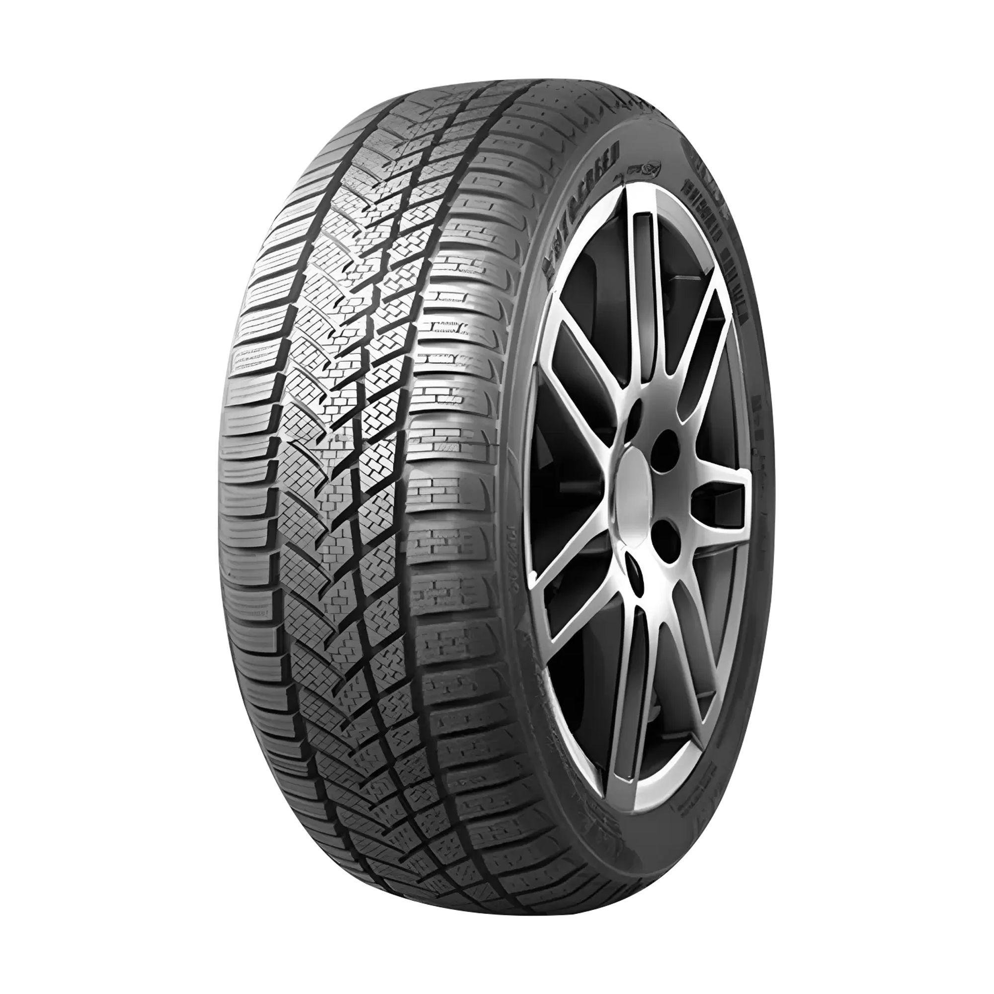 AUTOGREEN WINTER-MAX A1 WL5 235/55R19 105V XL BSW