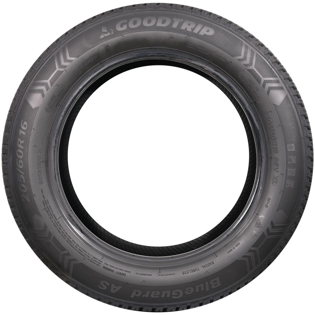 GOODTRIP BLUEGUARD AS 195/65R15 91H BSW