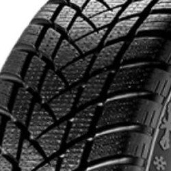 GT-RADIAL WINTERPRO2 SPORT 205/50R17 93V MFS BSW XL