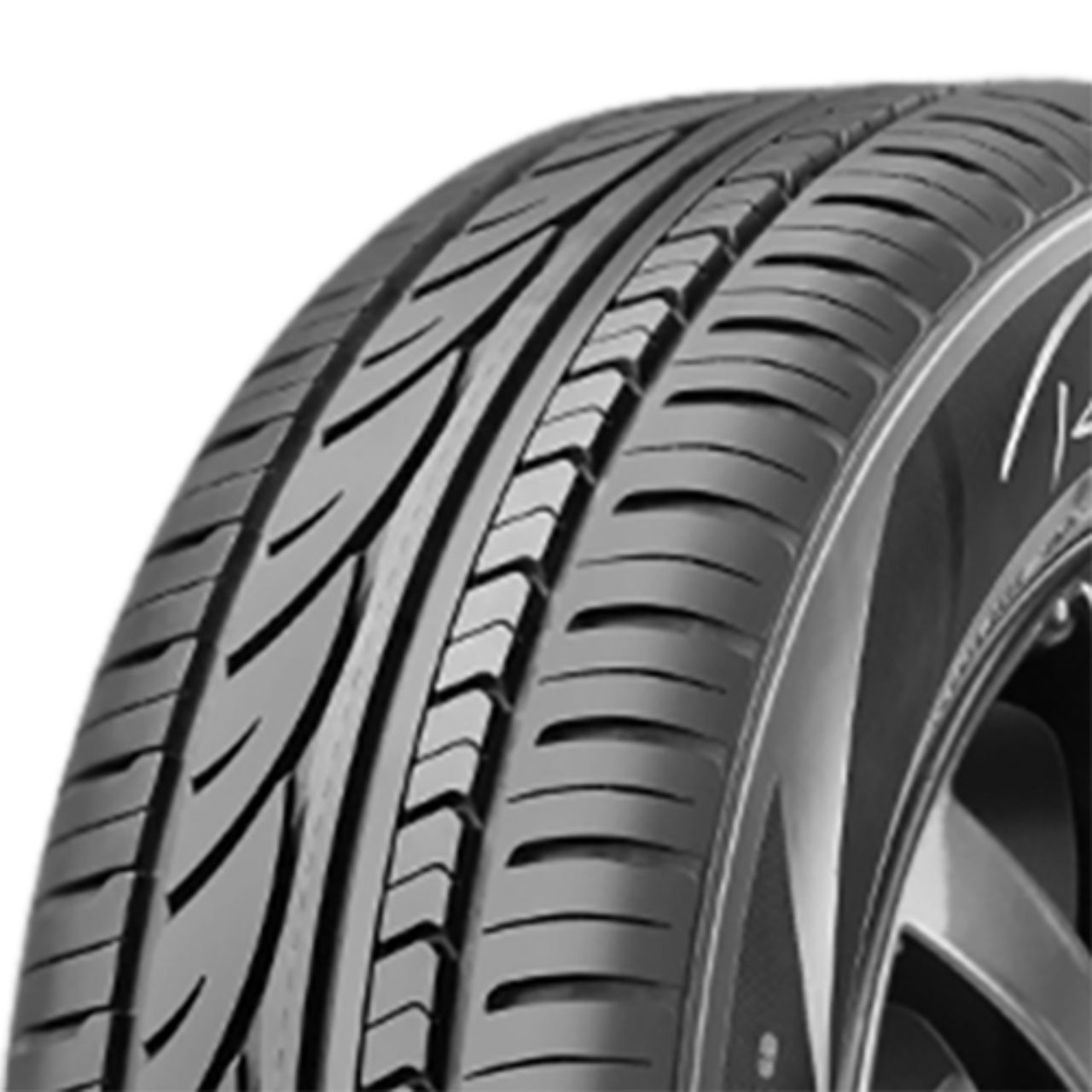 RADAR RPX800 205/55R16 91V